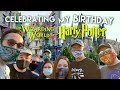 A VERY POTTER COLLECTOR BIRTHDAY | Wizarding World of Harry Potter | Universal Studios Orlando