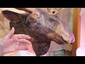 Middle of video