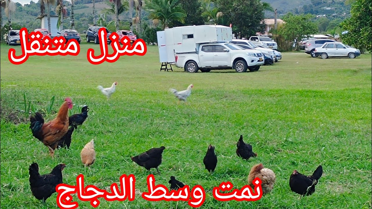 (رحلتي بمنزل متنقل) كيف عبرنا أخطر طرق الجبال بمنزلنا؟