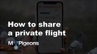 How to share a private flight in MyPigeons