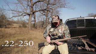 Coyote Hunting: What gear to use and bring to the field