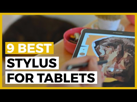 Best Stylus for Tablets in 2021 - How to find the perfect Stylus for your Tablet?