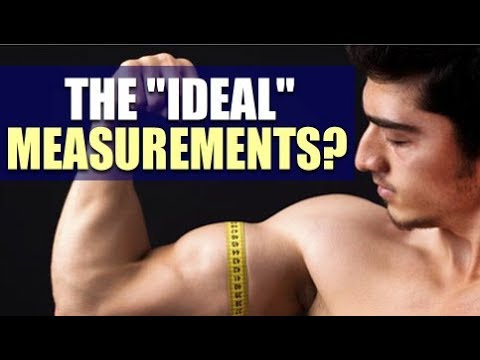 Ideal Male Body Measurements For Perfect Aesthetics - NOOB GAINS