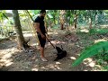 Training With My Dog | Sri Lankan Martial Arts | Training Day #shorts