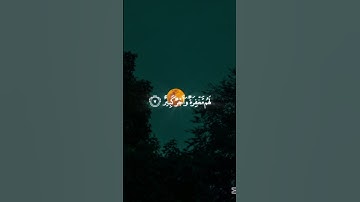 ما تيسر من سورة فاطر القارئ ماهر المعيقلي