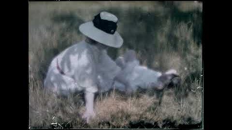 Felix Mendelssohn – String Symphony No  11 in F major Amsterdam Sinfonietta with Lev Markiz, 1996