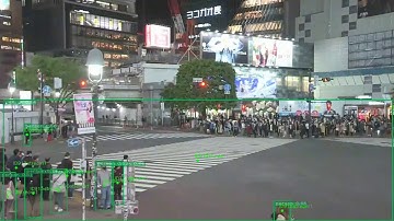 Live Stream Jetson Nano with cvBox Video Analytics & Computer Vision Platform - HidLayer.com