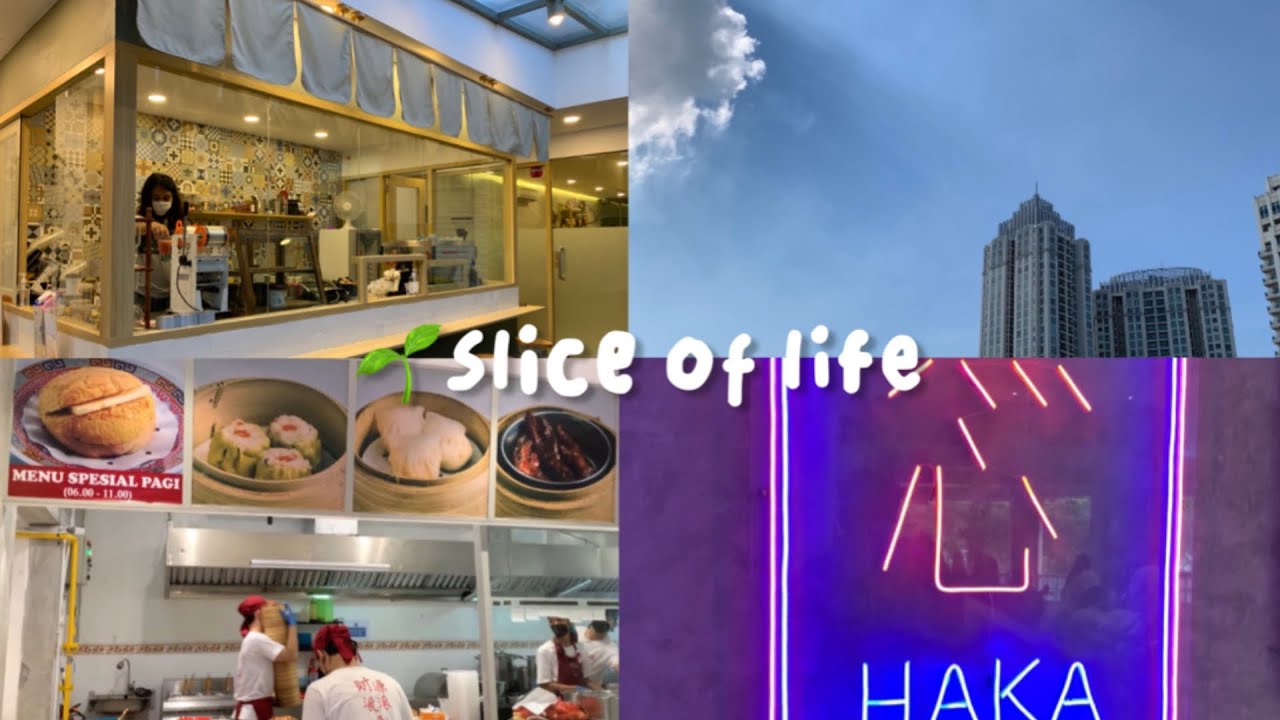 Iphone xr vlog |🇲🇨 a day in my life