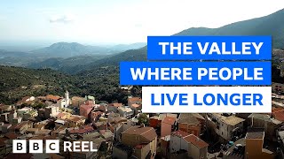 The Italian valley with the secret to longlife – BBC REEL