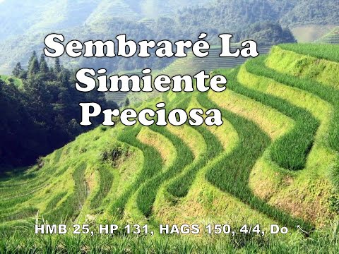 025 Sembrare la