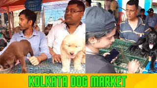 galiff Street Pet Market |galiff Street dog market |labrador |husky |golden retriever |spitz