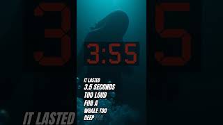 The Terrifying Sound From the Deepest Place on Earth 🌊