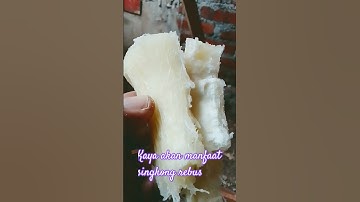 manfaat singkong rebus