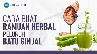 Cara Membuat Ramuan Alami Untuk Meluruhkan Batu Ginjal | Hidup Sehat tvOne
