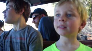 Pumpkin Patch and Lost in a Corn Maze
