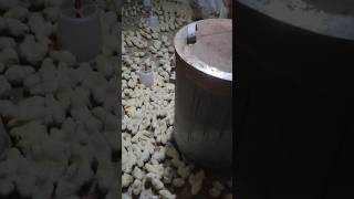 New Flock in Poultry | ले फिर आ गए #comedy #funny #comedycouple #comedymoments #comedyskits #crazy