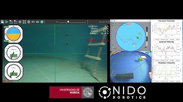 Underwater Positioning. Particle filter with marker detection