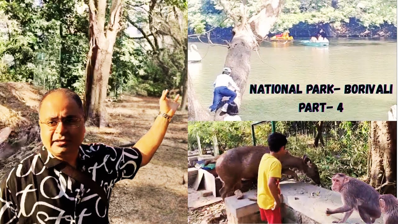 National Park Safari Vlog 🐯 | Wildlife, Nature & Fun | Humidiotsunfiltered | Part 4