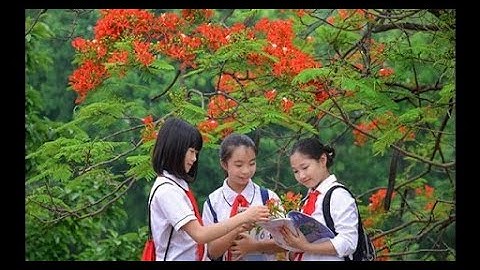 Cùng nhìn lại 1 năm học đã qua (2023-2024)