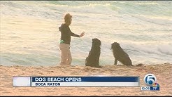 Dog beach park opens in Boca Raton 