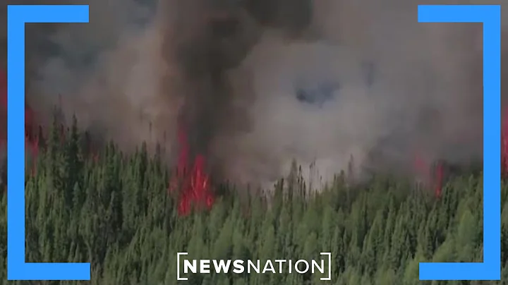 What difficulties did fire crews face to put out Canadian wildfires? | NewsNation Live