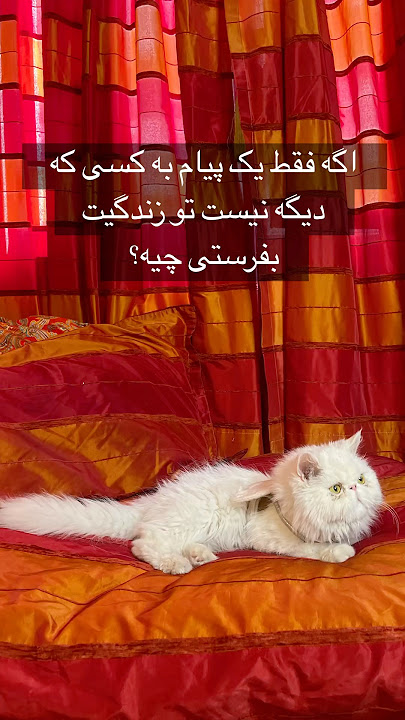 پیامت رو اینجا براش بنویس برسه دستش