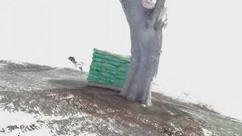 Oyla Camera: 3D Reconstruction Application