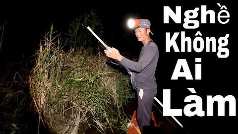 Công Việc Đầy Rủi Ro: Bắt Rắn Lục Đuôi Đỏ Ngoài Tự Nhiên