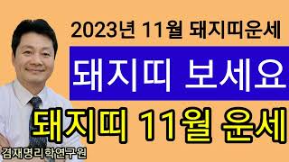 돼지띠운세 / 종합운 금전 건강 연애  돼지띠의 2023년  11월 운세입니다   83년생 71년생 59년생…