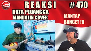 KATA PUJANGGA - RHOMA IRAMA - MANDOLIN COVER - BULE DARI BRAZIL REAKSI