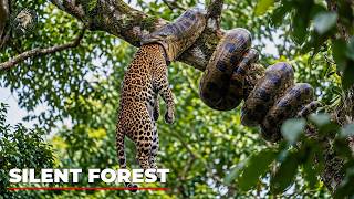 WILD AMAZON | When Death Is Close, Every Move Matters | Nature Animal Documentary
