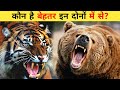 Siberian Tiger aur Grizzly Bear ki Ladai | कौन जीतेगा इस लड़ाई में? duniya ka sabse bada tiger