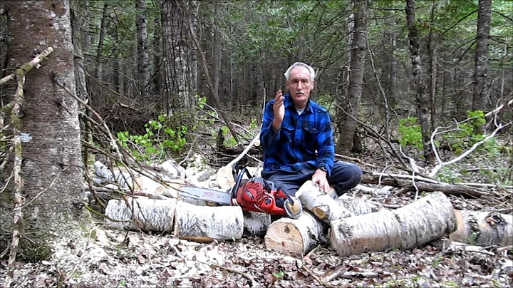 Martin's Old Off Grid Log Cabin #25 Enjoyment off the Grid