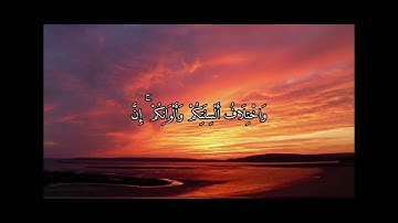 سوره الروم الاية(21 الى 24) القارئ ياسر الدوسري