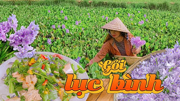 Gỏi lục bình, Món Ăn Dân Dã Gợi Nhớ Ký Ức Ngày Xưa Của Mẹ | How to make water hyacinth salad