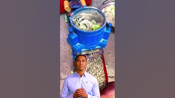 Feed Pellet Machine: Durable and Cost-Effective Solutions for Farms #fcnfm #feedpellet #youtube