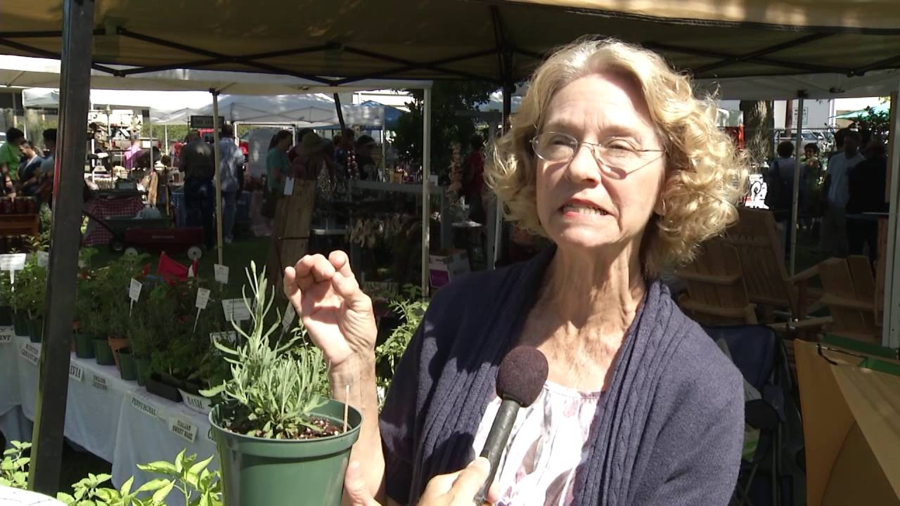 Sunset Herb & Garden Festival 2016 YouTube