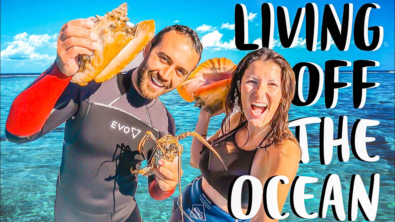 SPEAR FISHING CATCH N COOK | Living Off The Ocean On Sailboat