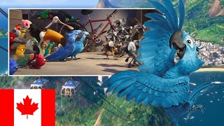 Rio Birds Vs Monkeys Canadian French