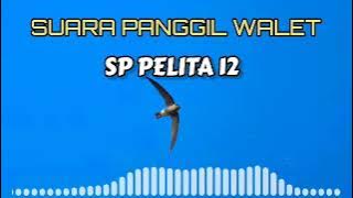 TERBARU‼️SUARA PANGGIL WALET || SP PELITA 12 || suara jernih dan bersih