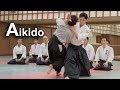 Aikido Dynamic and smooth techniques - Shirakawa Ryuji shihan