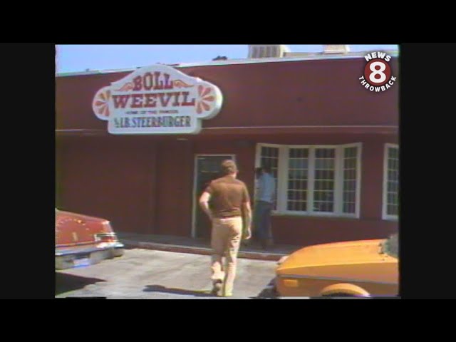 Boll Weevil Restaurant in San Diego 1981 class=