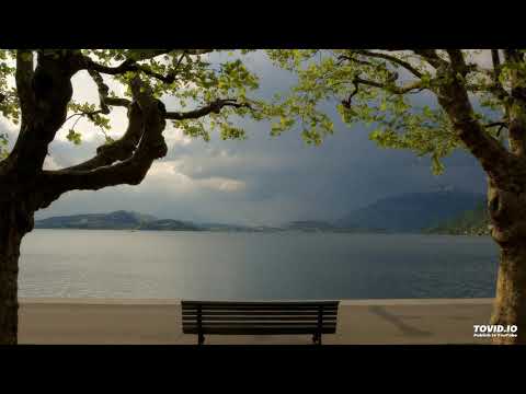 06. Rebirth Yoga Music Academy - Summer Reiki Music