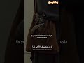 في همة حب الأنام في همة حب الأنام