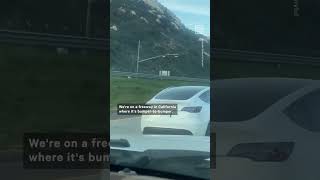 Tesla Driver Appears to Be Asleep at the Wheel on CA Freeway