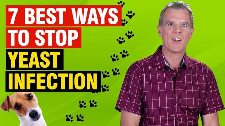 Itchy Dog Yeast Infection (5 ESSENTIAL Steps to St...