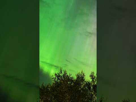 Северное сияние #космос #астрофотография #астрофото #сияние #северноесияние #звезды #интересное