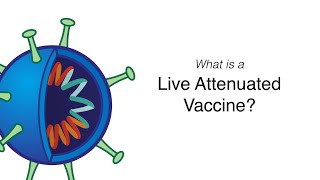 What is an Attenuated Vaccine?