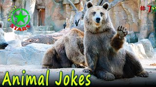 Animal Jokes 🐶 🐒 🐼 Funny Dogs Cute Cats Amazing Pets Funny Jokes 2020 №7 by Animal Stars 11,464 views 3 years ago 5 minutes, 11 seconds