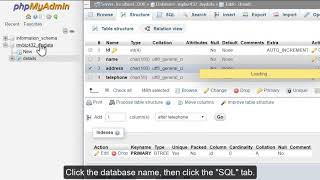 How to Run SQL Queries with phpMyAdmin | VeeroTech Hosting